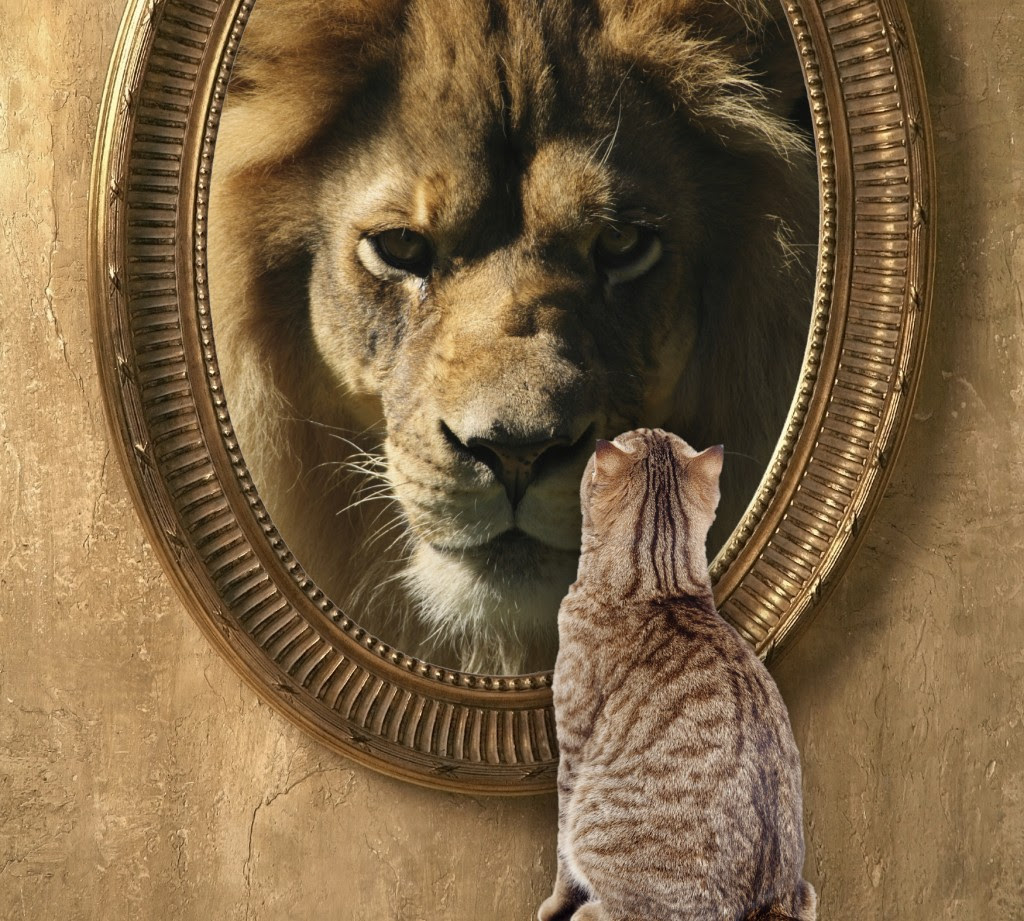 Knowing Yourself and Your Surroundings: The Foundation of Focus and Personal Excellence